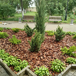 Хвойная мульча в Грозном купить - оперативная доставка по всей России